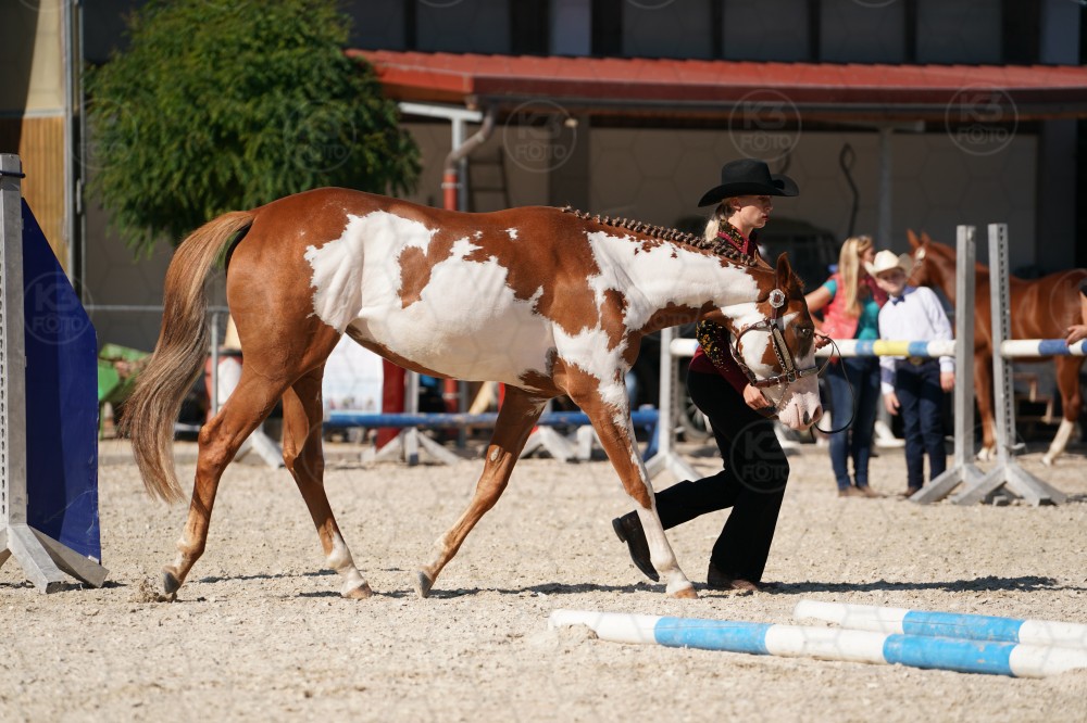 s_A_907472.JPG